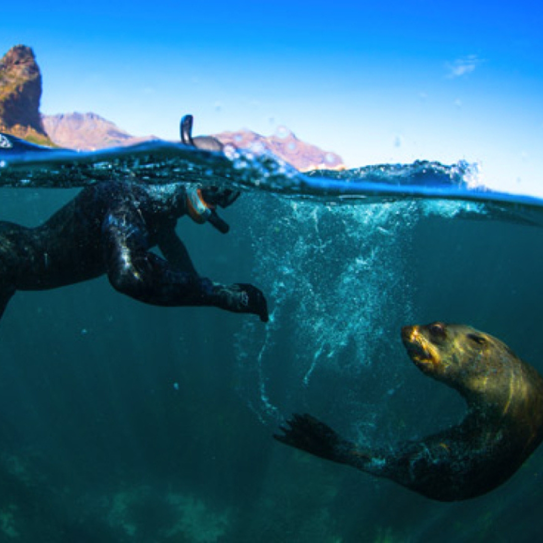 rti-world-meeting-2023-landing-page-header5