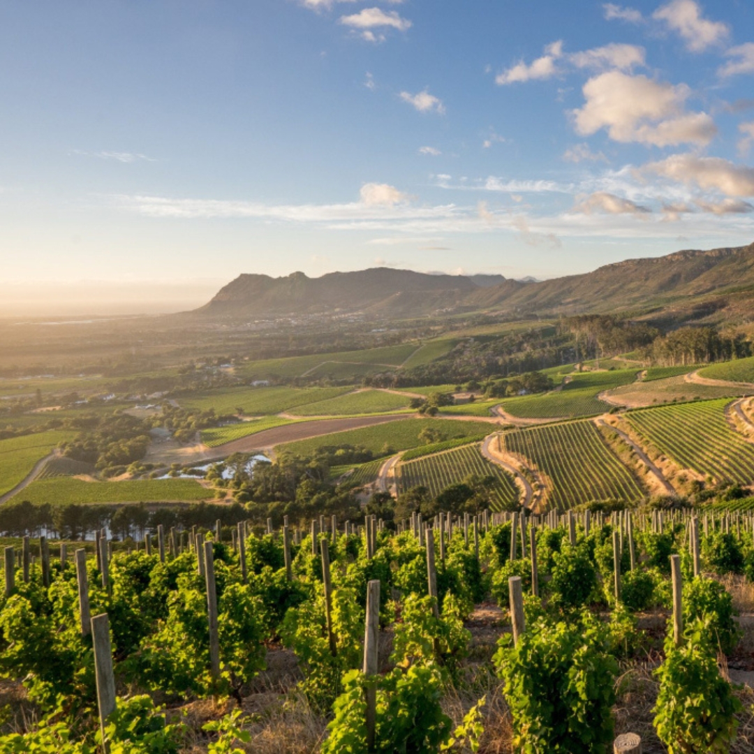 rti-world-meeting-2023-landing-page-header6